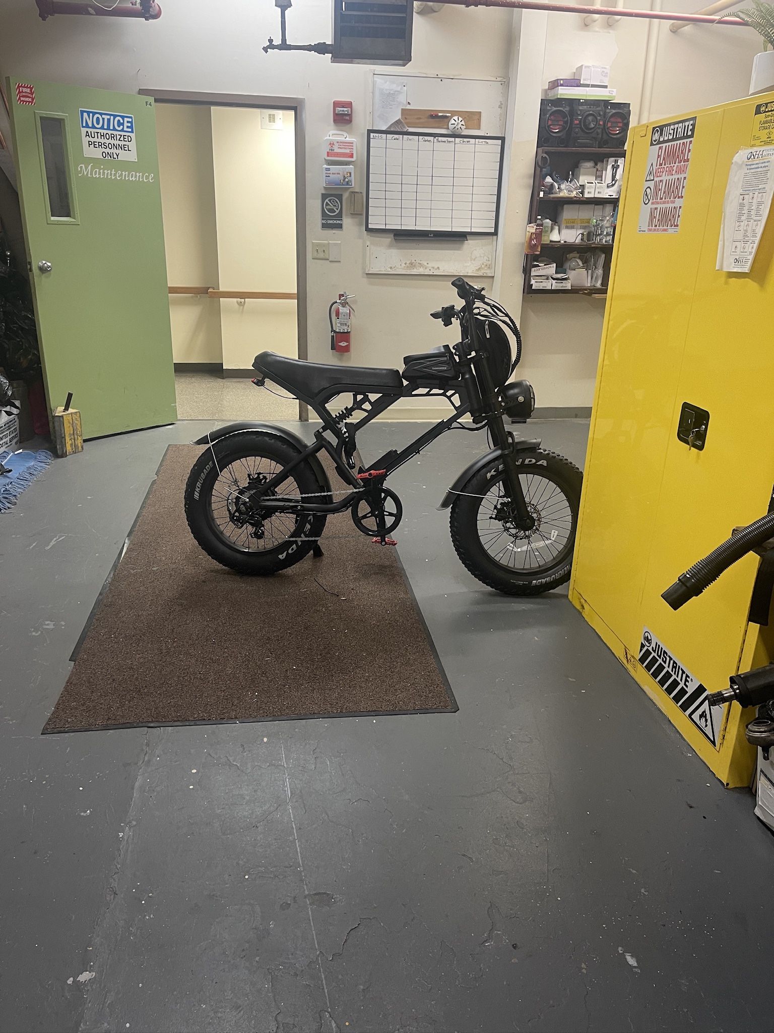 Fast E-bike (Tamobyke )
