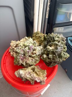 Live Rock Lot for Saltwater Aquarium