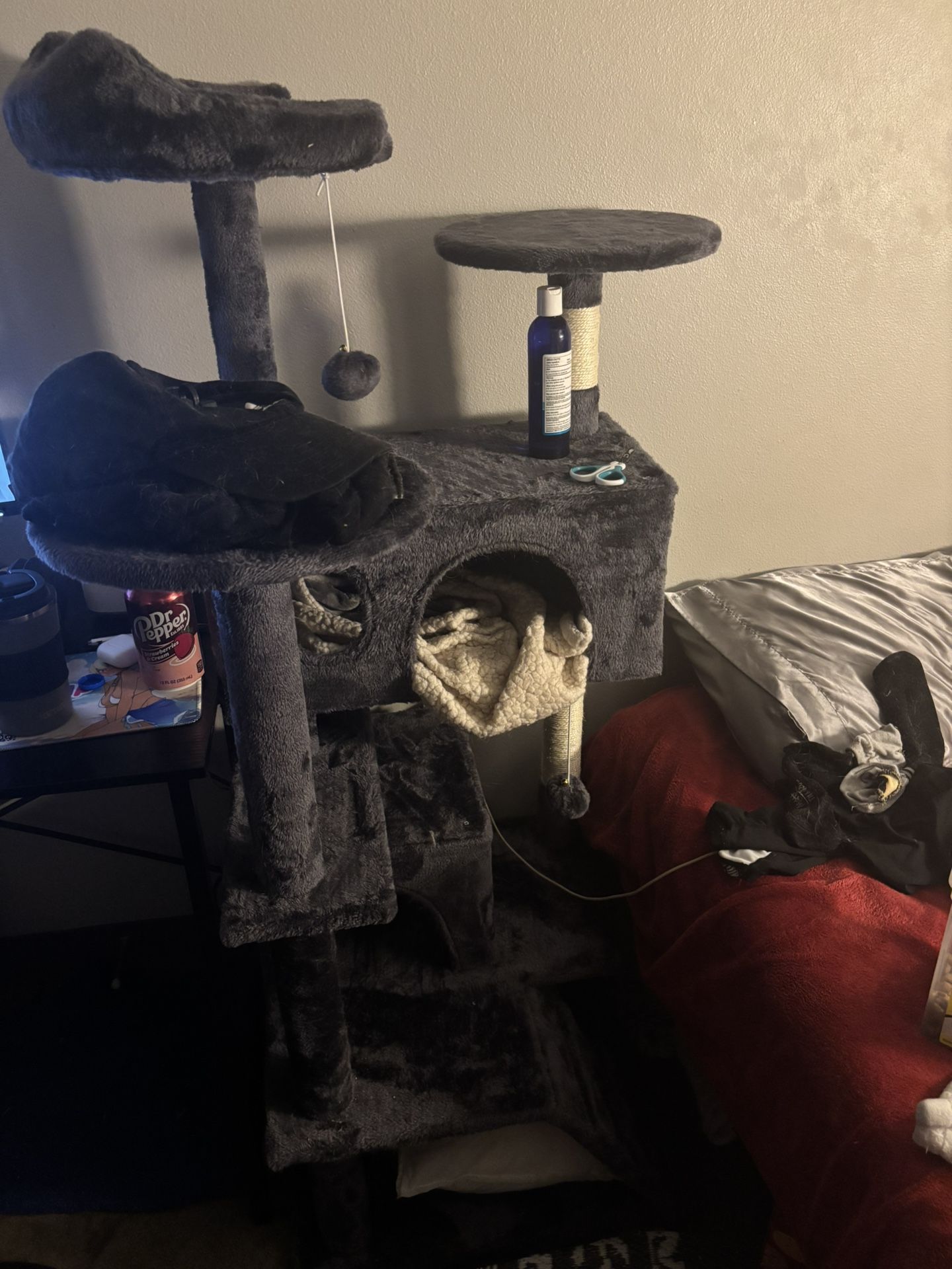 Cat tower and Bed