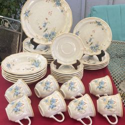 MIKASA GARDEN CLUB DAY DREAMS