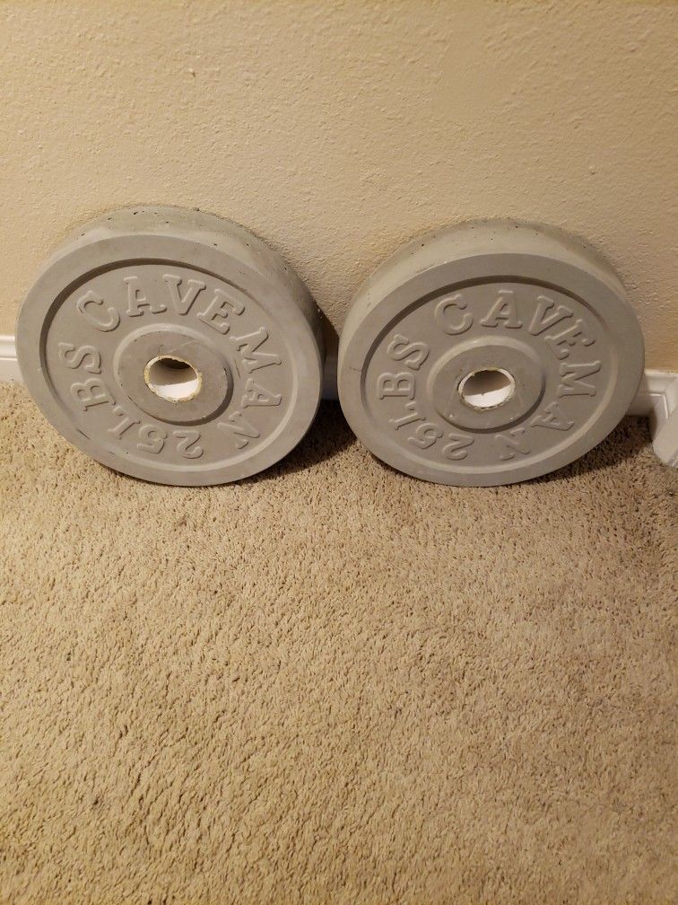 2 25 Pound Weights For Bench Press Lifting