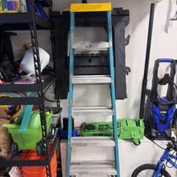Davidson 6’ Ladder