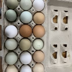 Free range eggs!