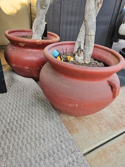 Large pots