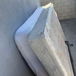 Free Queen Mattress, Box Spring, And Metal Stand W/wheels.