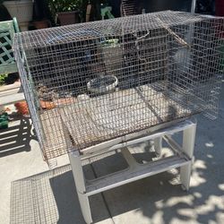 Bird Cage