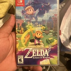 Zelda Echos Of Wisdom 