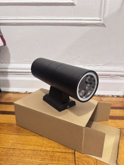 Dual-head LED outdoor wall sconce