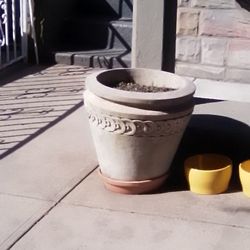 Cement Flower Pots 