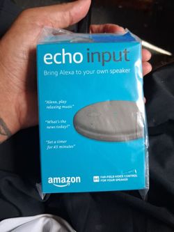 Amazon Echo Input Smart Speaker Adapter