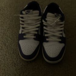 Championship Court Purple Dunks