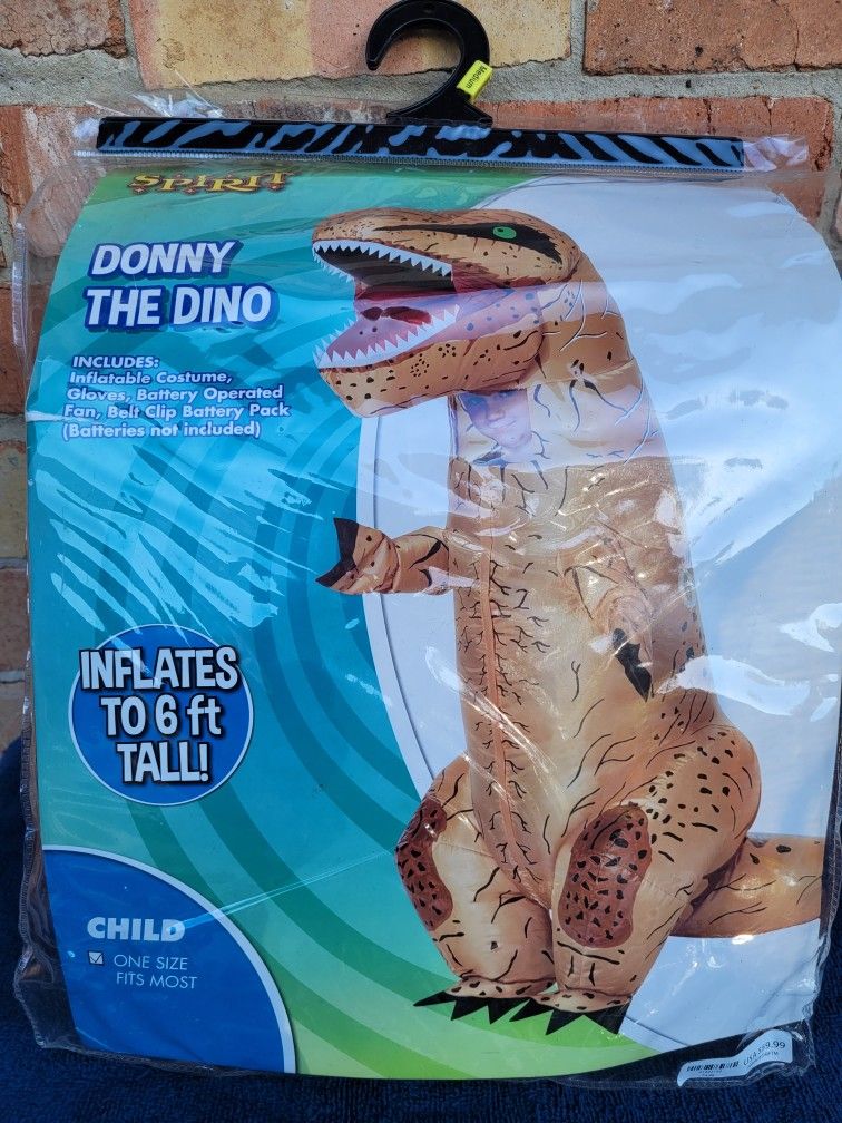 Halloween Costume