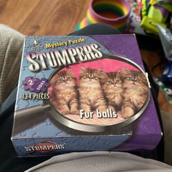 Stumpers Cat Puzzle