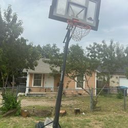 Basketball Court Hoop