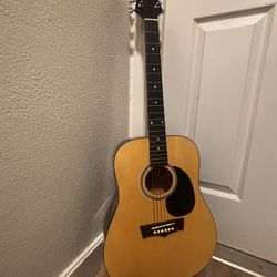 Peavey Guitar