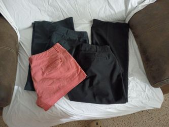 Women's Clothing Size12