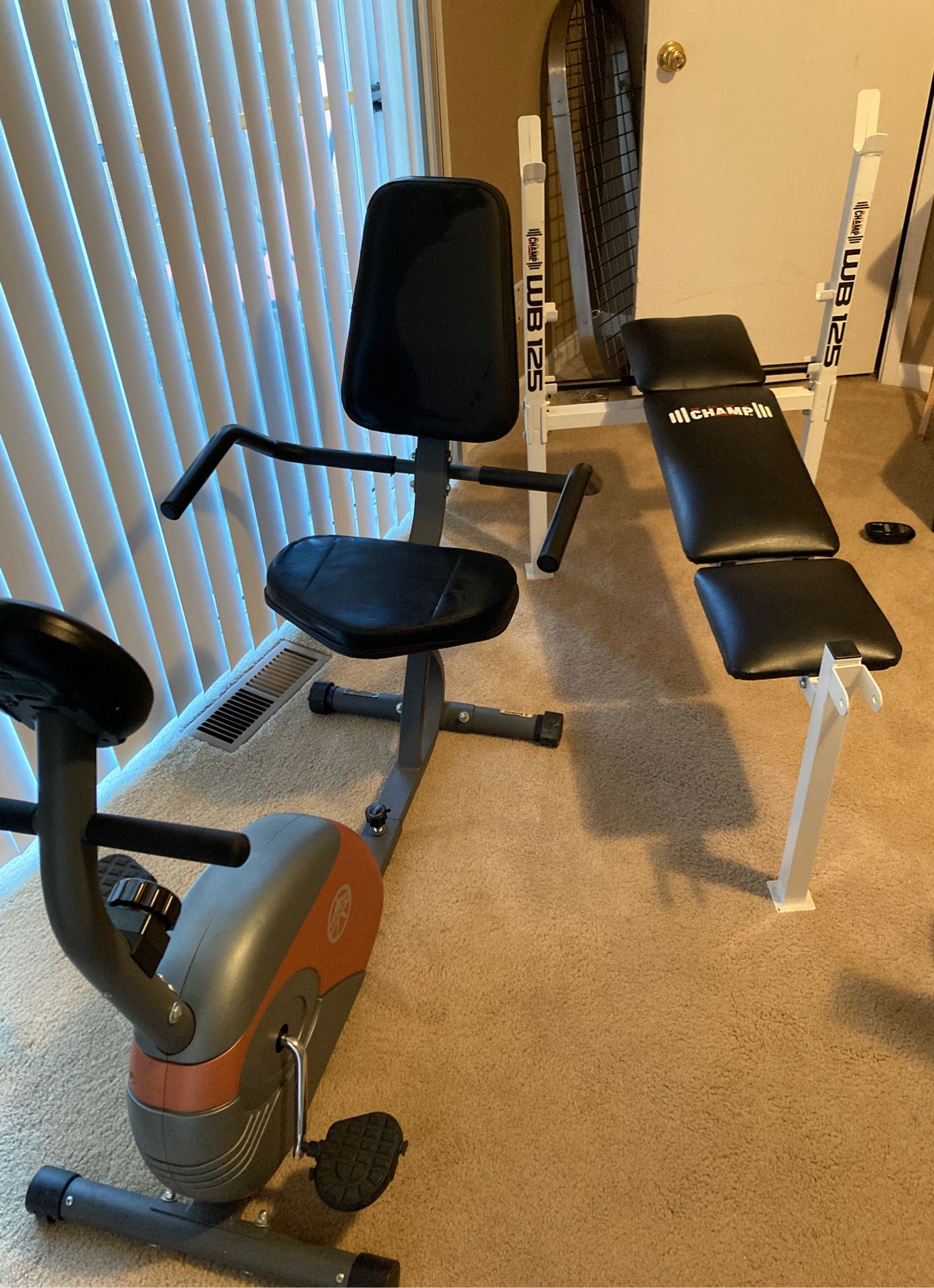 Marcy Recumbent Exercise Bike & Bench press