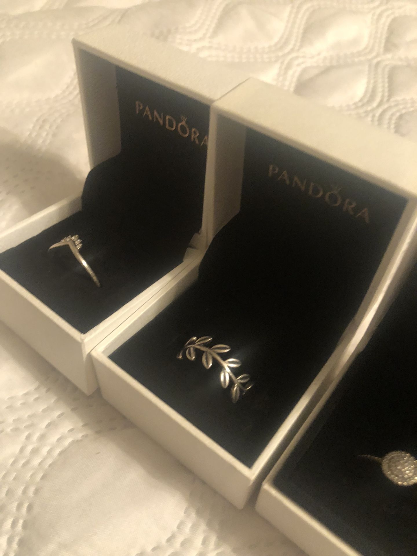 Rings From Pandora