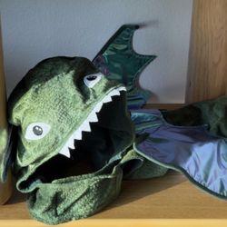 Dragon Costume for Medium Sized Dog