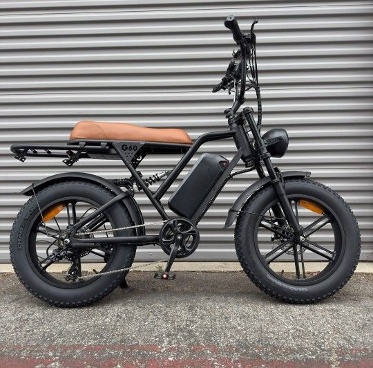 Electric Bike