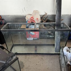 60 Gallon Fish Tank