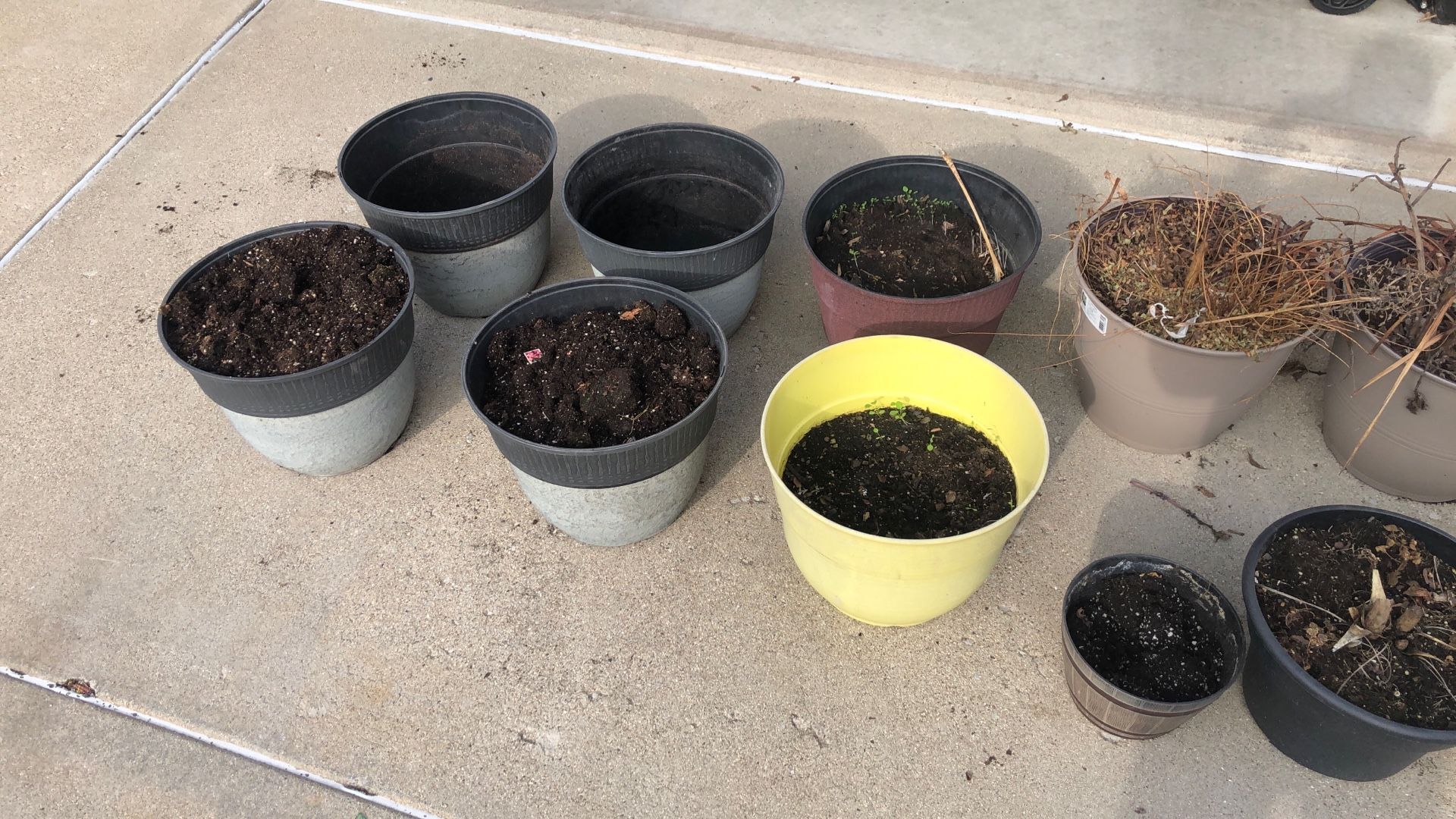 Flower Pots………1 DOLLAR EACH