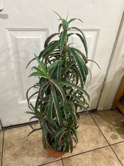 Fake tree  3 ft tall
