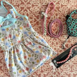 Dog Items 