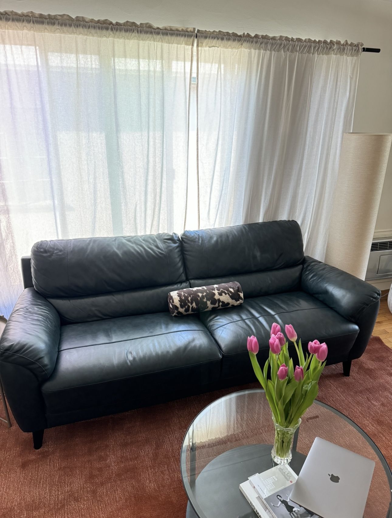 Leather Couch