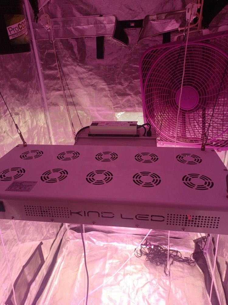 Kind GROW LIGHT 600 WATT for Sale in Bullhead City, AZ OfferUp