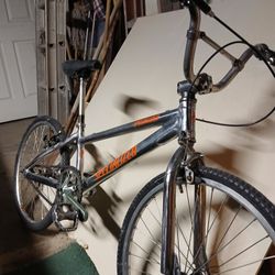 Specialized  20"