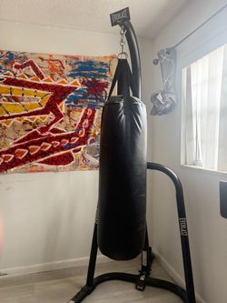 Everlast Heavy Bag with Freestanding Stand