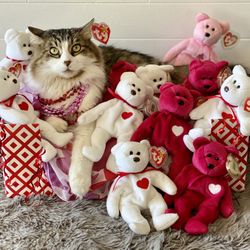 Valentino and Valentina Beanie Babies