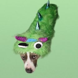 Halloween Dog Costume 