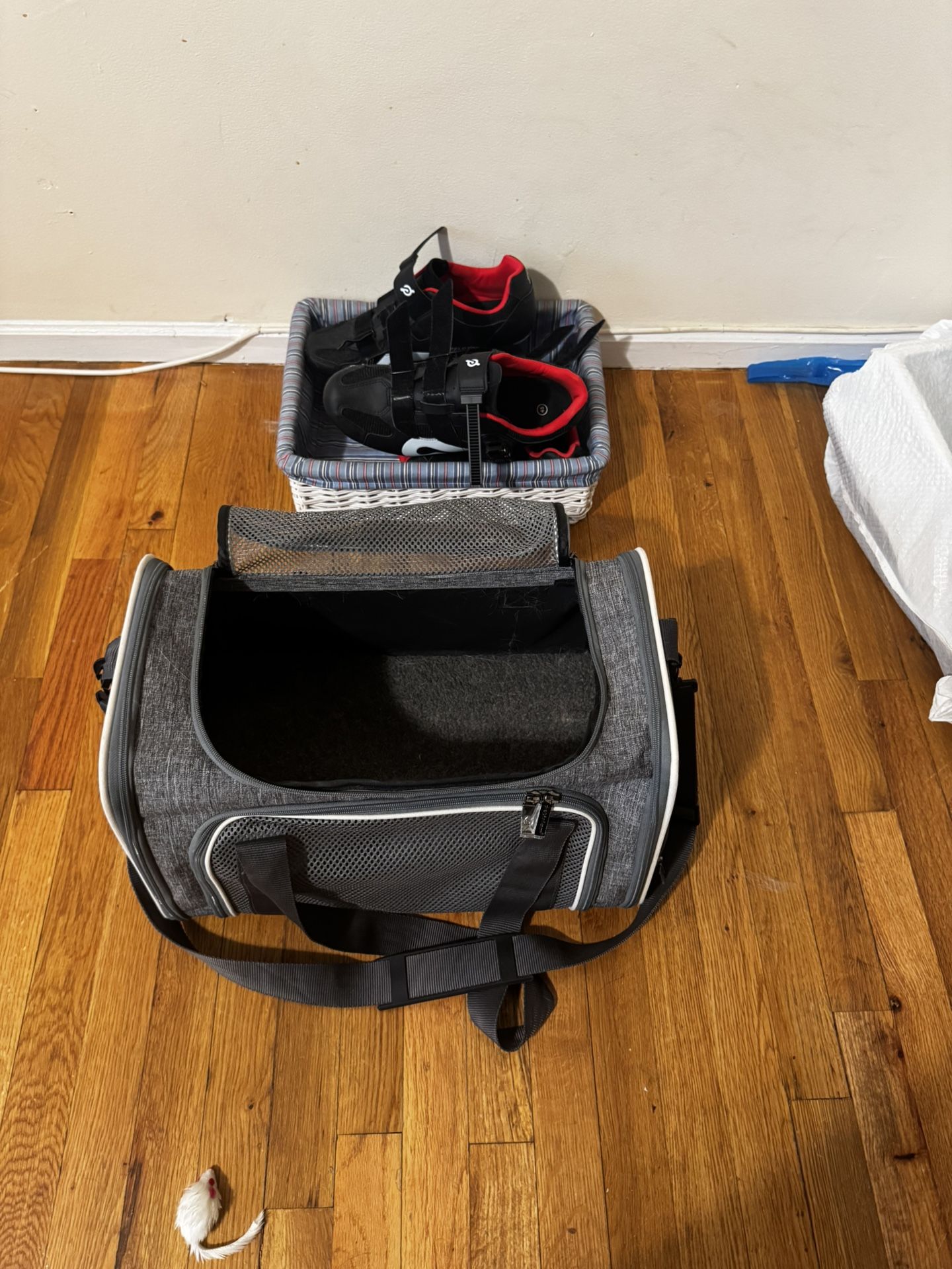 cat or dog bag
