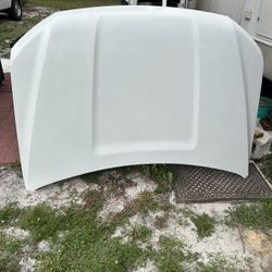 2020 Ford F150 Hood