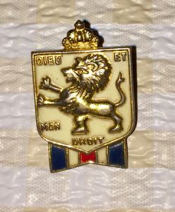 Wonderful old WW2 Era Pin British War Relief Society