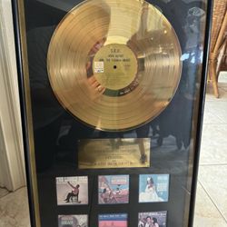 Framed Gold record Disc Award