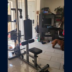 Valor Fitness - Gym Equipment for Home and Fitness Centers