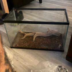 Small Reptile  / Fish Tank 