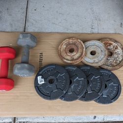 Weight Plates And Dumbbells 