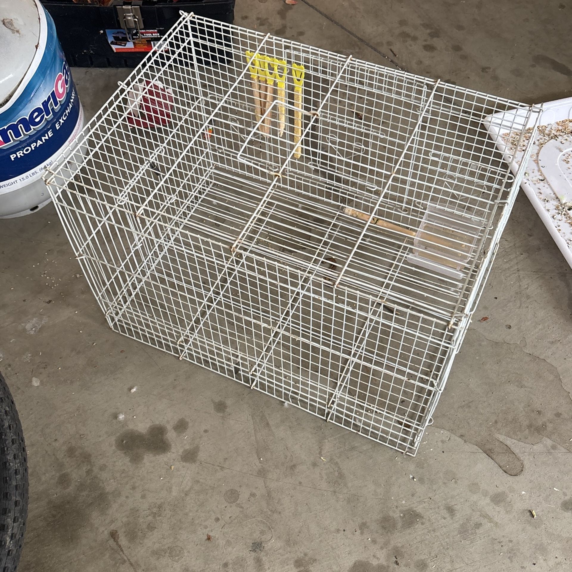 Bird Cage