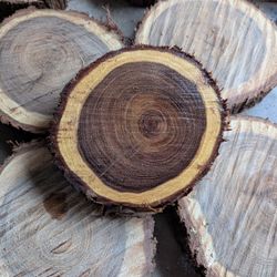 Small Mesquite Wood Rounds