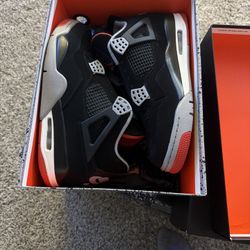 2019 Bred 4s 