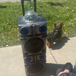 Carry Around Speaker 