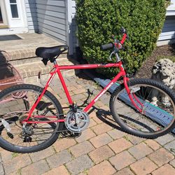 Men's bicycle Diamondback Curaca