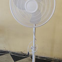 Fan