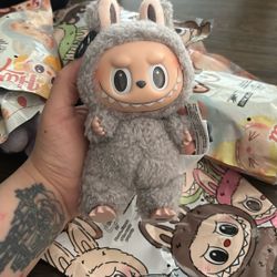 Sesame Bean Teddy 