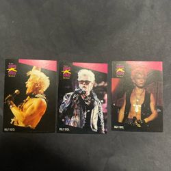 Billy Idol 1991 Super Stars Card Lot