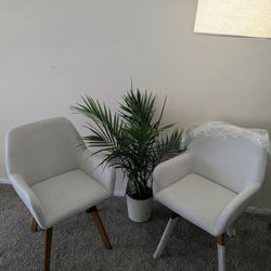 Arm Chairs (NEW!) Set of 2
